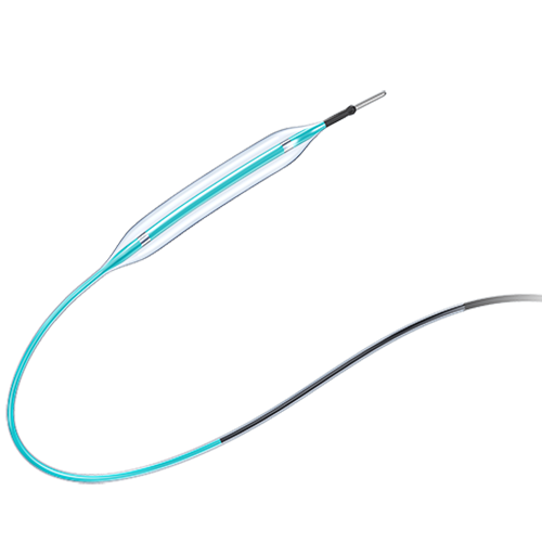 Cardiology